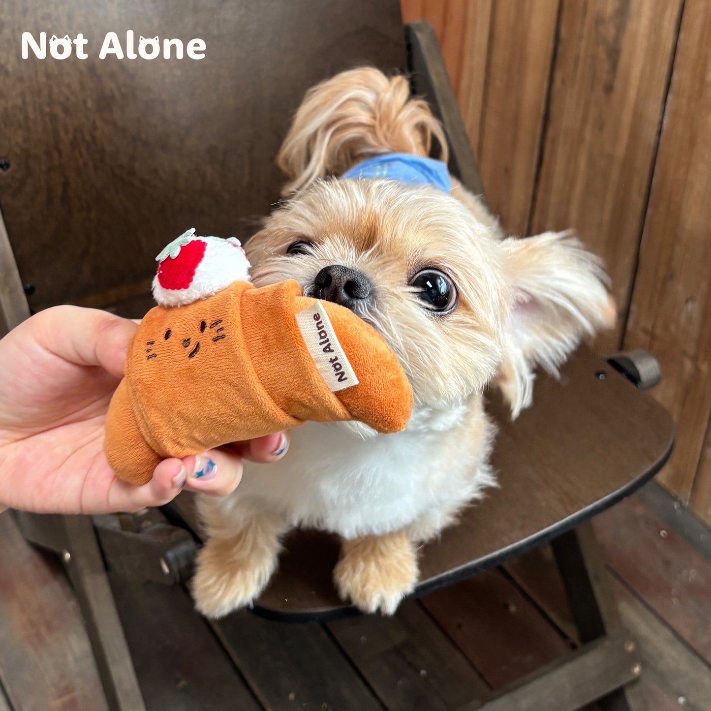 Pet Toy Blind Boxes