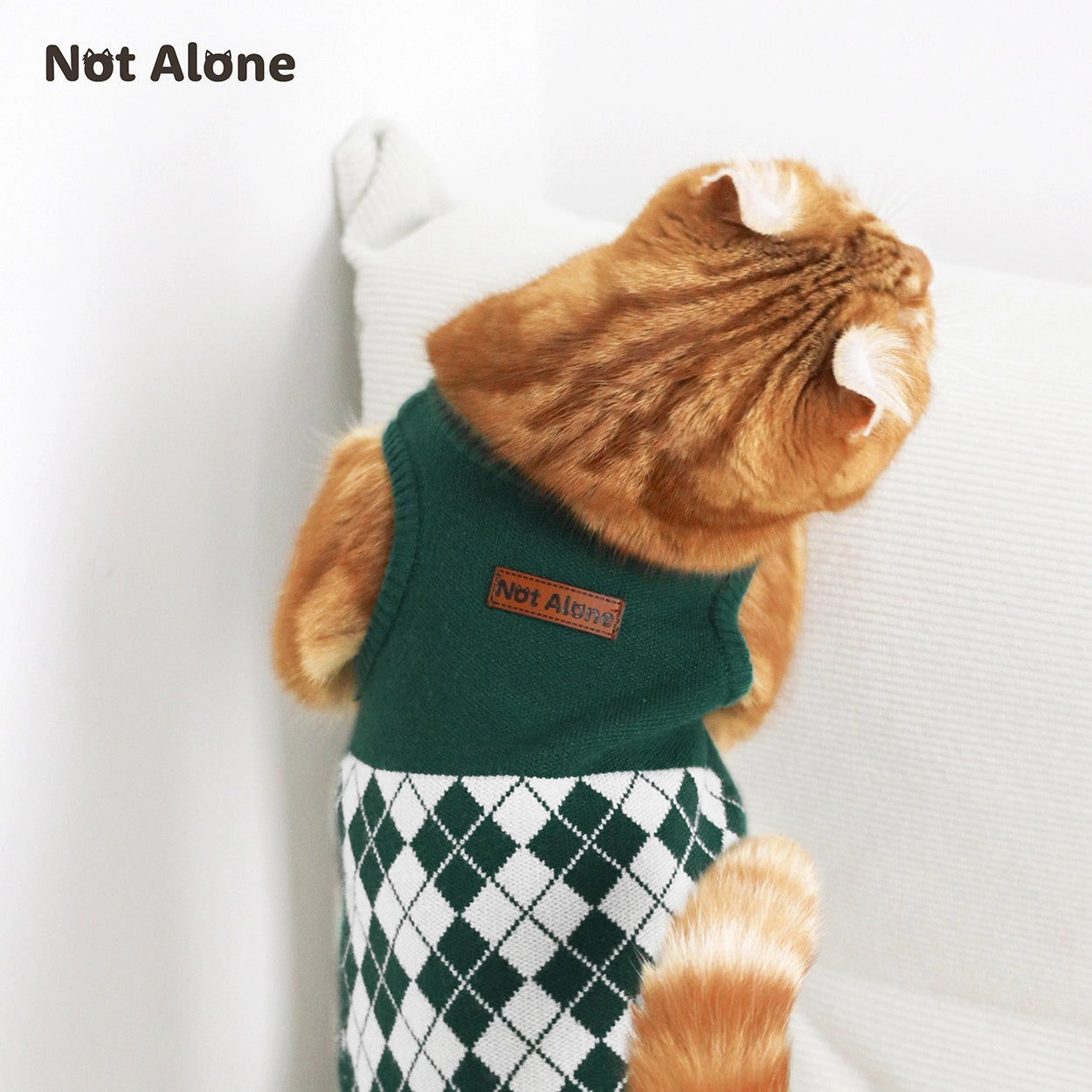 Magic House Pet Sweater Set