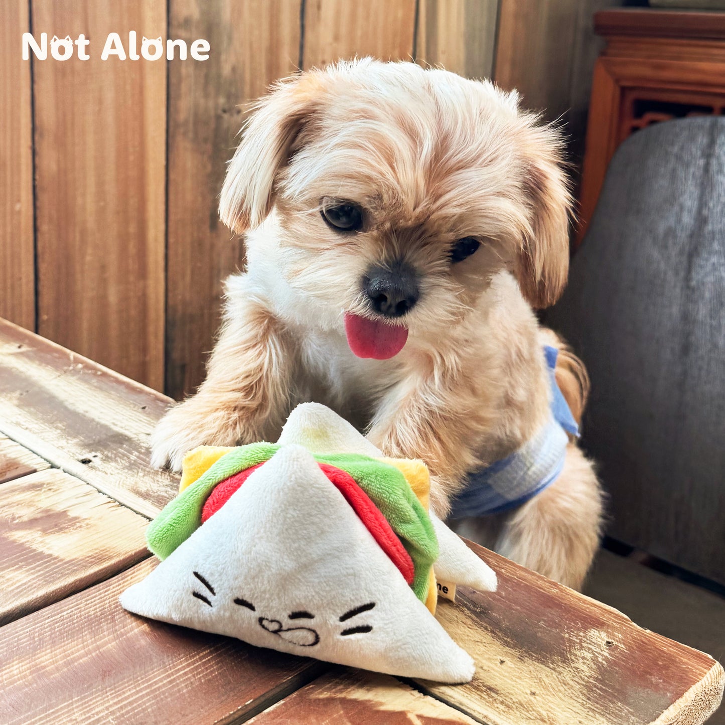 Pet Toy Blind Boxes