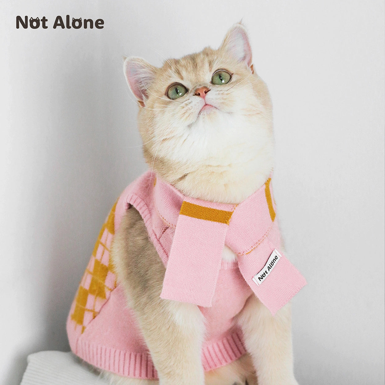 Magic House Pet Sweater Set