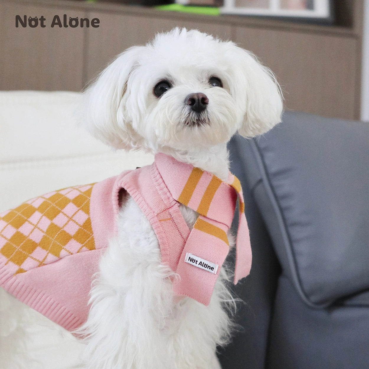 Magic House Pet Sweater Set