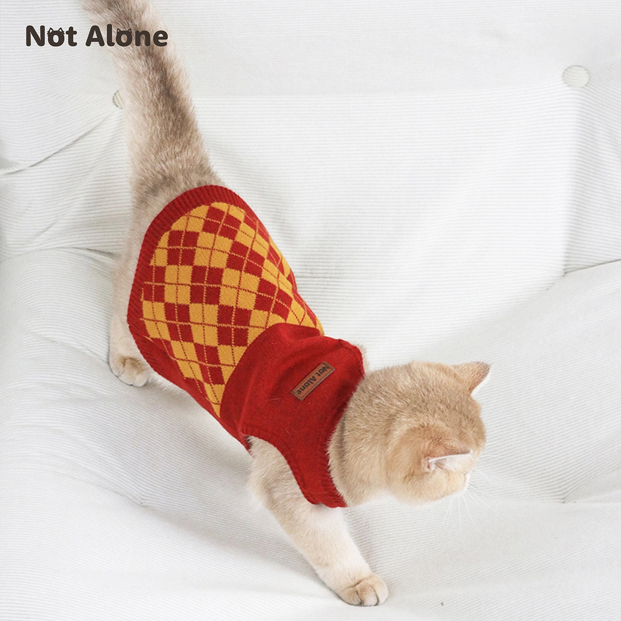 Magic House Pet Sweater Set