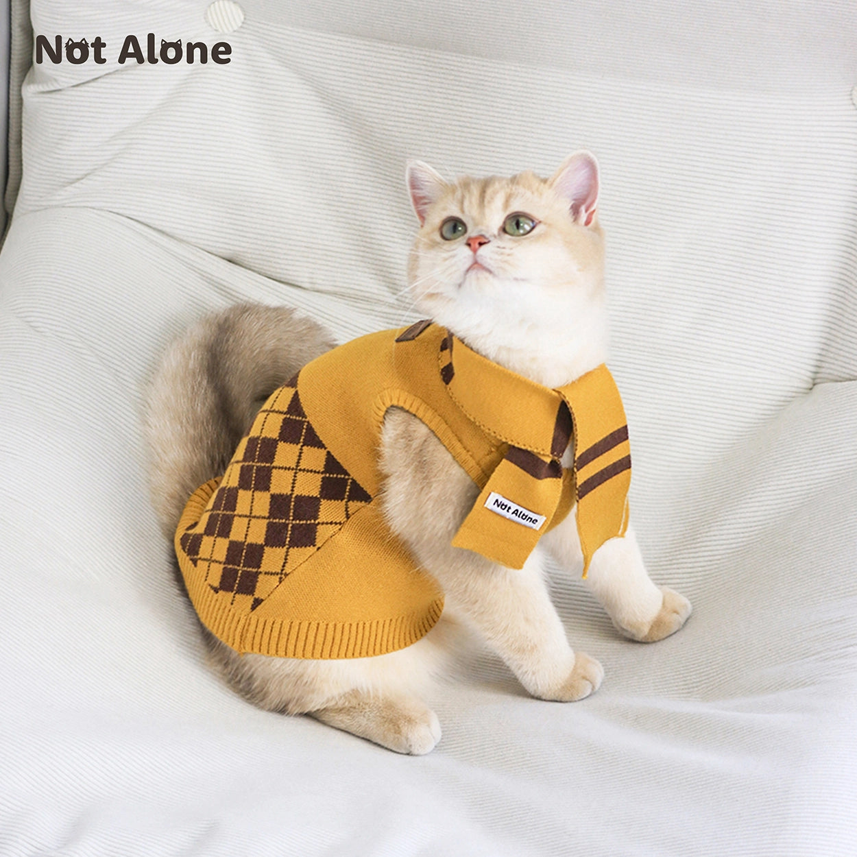 Magic House Pet Sweater Set