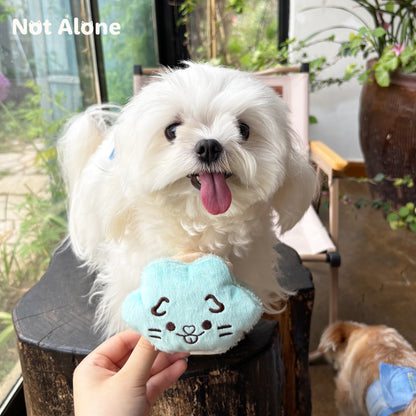 Pet Toy Blind Boxes