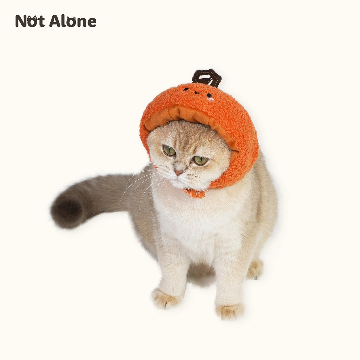 Trick or Treat Pumpkin Pet Hat