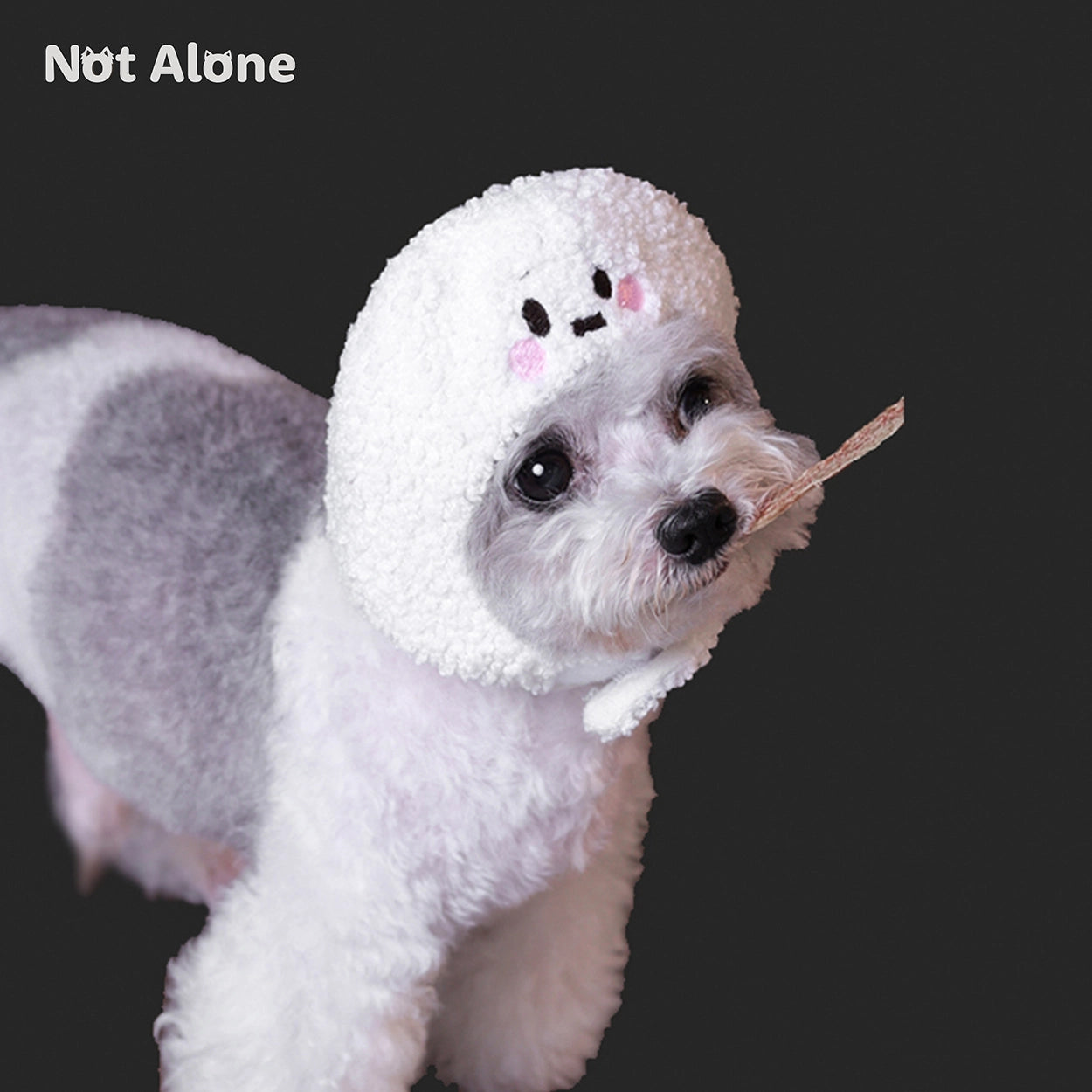 Trick or Treat Ghost Pet Hat