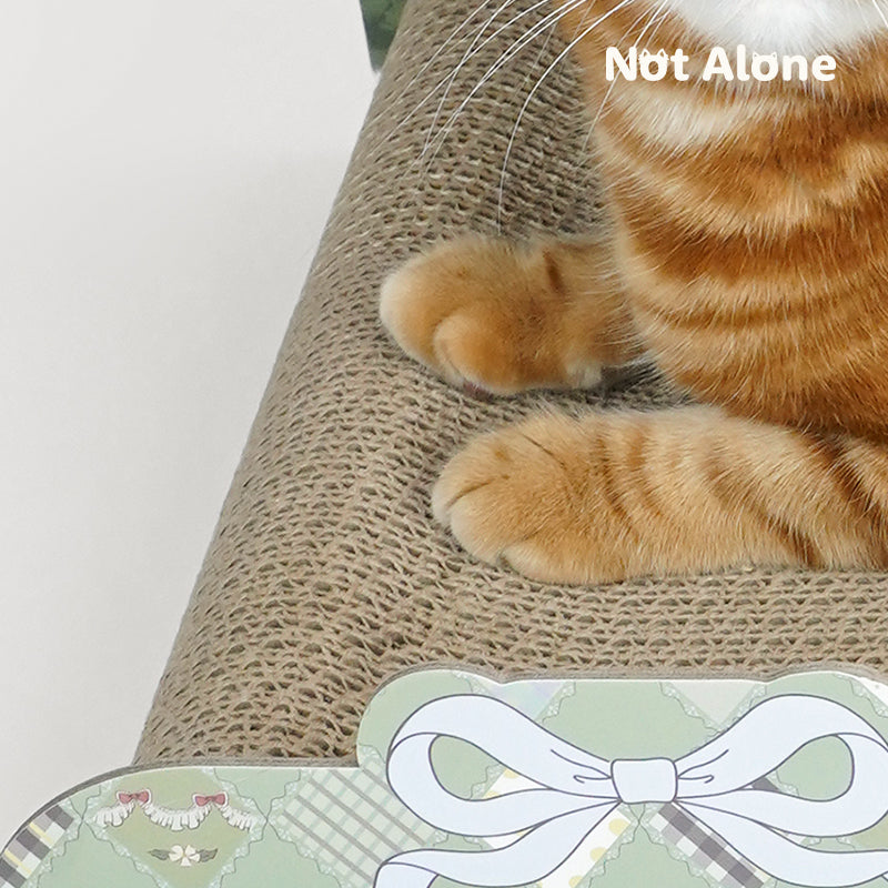 Cat Scratching Board
