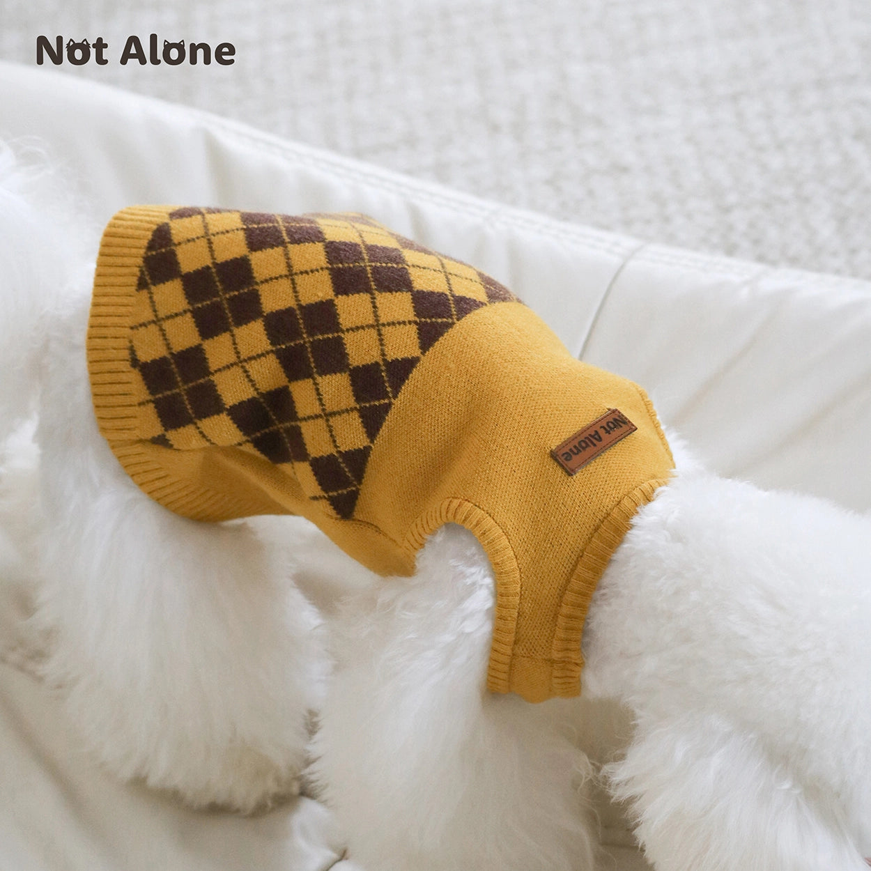 Magic House Pet Sweater Set