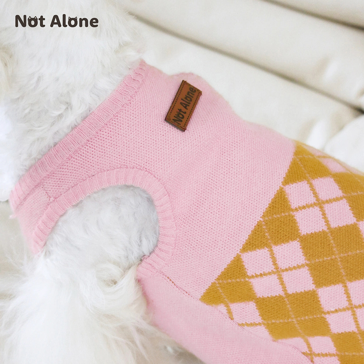 Magic House Pet Sweater Set
