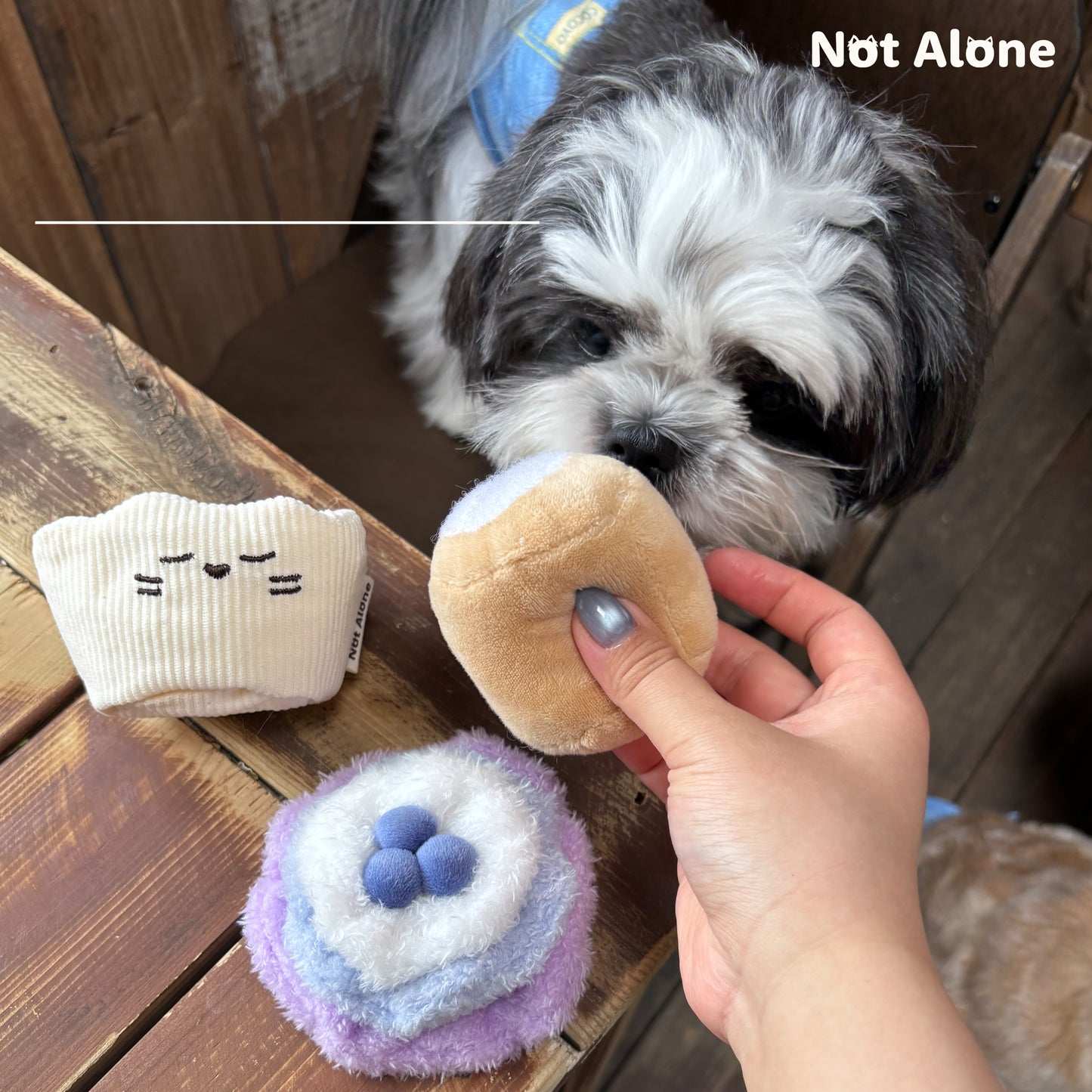 Pet Toy Blind Boxes