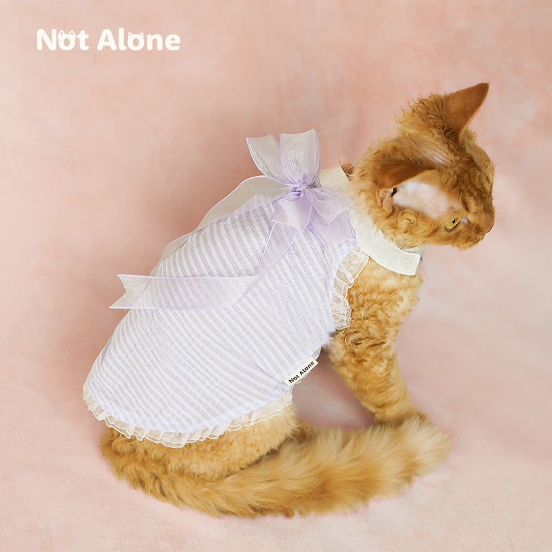 Fairy Bow Dress